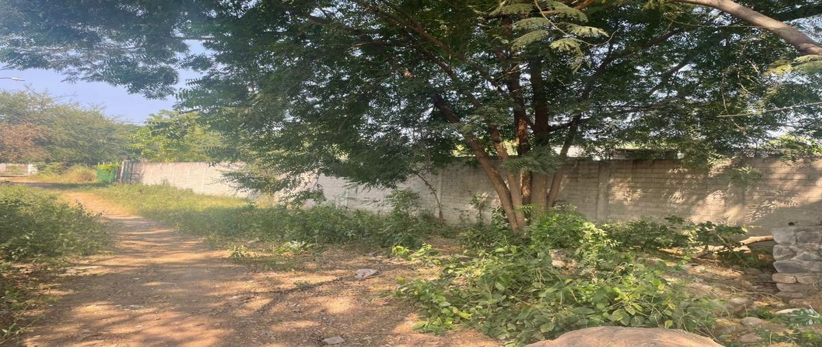 Foto de terreno habitacional en renta en  , lo de villa, colima, colima, 0 No. 05
