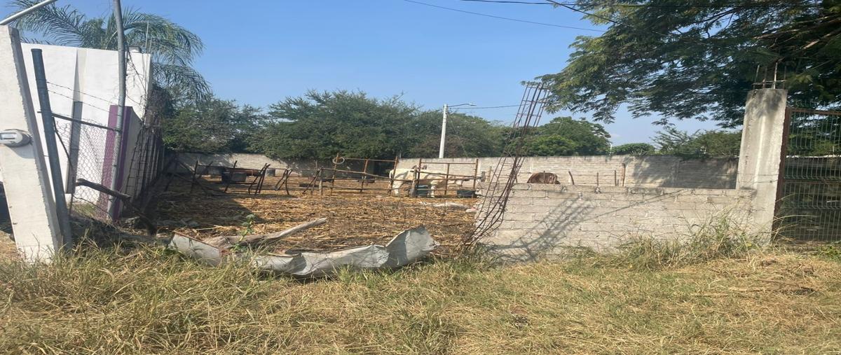Foto de terreno habitacional en renta en  , lo de villa, colima, colima, 0 No. 04