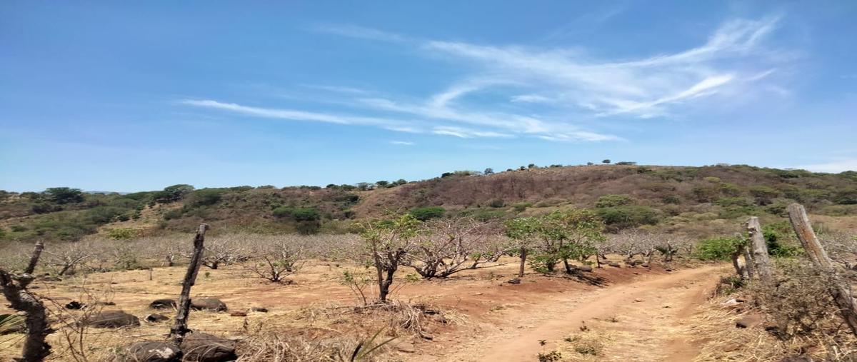 Foto de rancho en venta en loc. benito juárez , benito juárez (las chivas), tepic, nayarit, 0 No. 04