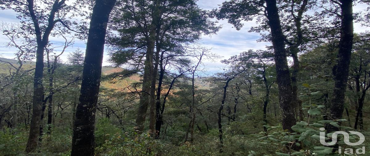 Foto de terreno comercial en loc. cienega , ciénega grande, omitlán de juárez, hidalgo, 0 foto 01 Foto de terreno comercial en venta en loc. cienega , ciénega grande, omitlán de juárez, hidalgo, 0 No. 01