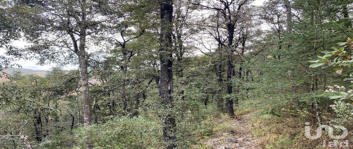 Foto de terreno comercial en loc. cienega , ciénega grande, omitlán de juárez, hidalgo, 0 foto 02 Foto de terreno comercial en venta en loc. cienega , ciénega grande, omitlán de juárez, hidalgo, 0 No. 02