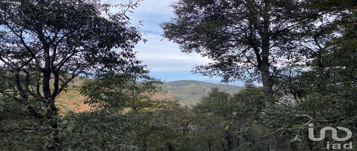 Foto de terreno comercial en loc. cienega , ciénega grande, omitlán de juárez, hidalgo, 0 foto 03 Foto de terreno comercial en venta en loc. cienega , ciénega grande, omitlán de juárez, hidalgo, 0 No. 03