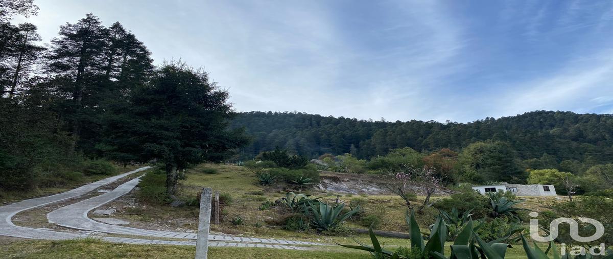 Foto de terreno comercial en loc. cienega , ciénega grande, omitlán de juárez, hidalgo, 0 foto 04 Foto de terreno comercial en venta en loc. cienega , ciénega grande, omitlán de juárez, hidalgo, 0 No. 04