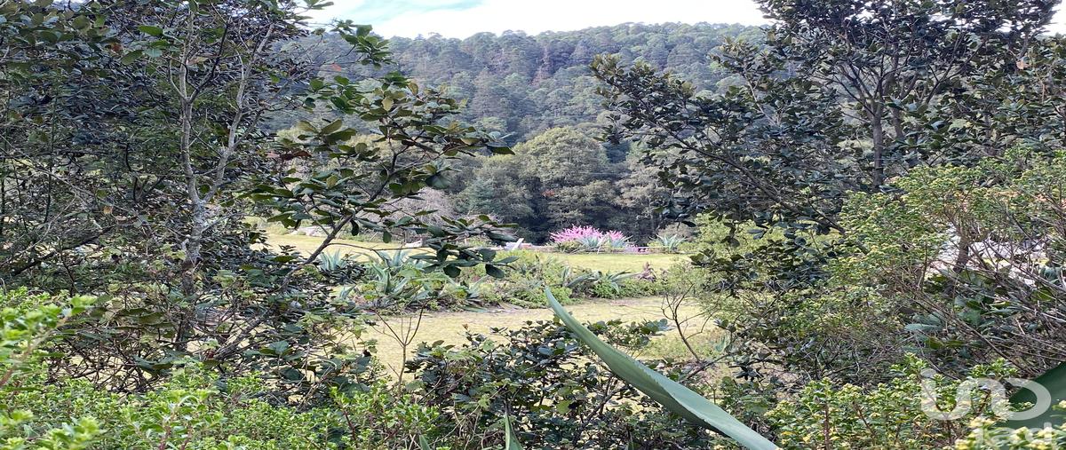 Foto de terreno comercial en loc. cienega , ciénega grande, omitlán de juárez, hidalgo, 0 foto 05 Foto de terreno comercial en venta en loc. cienega , ciénega grande, omitlán de juárez, hidalgo, 0 No. 05