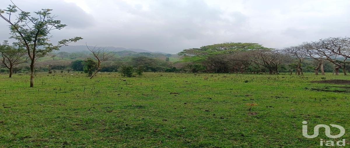 Foto de terreno habitacional en venta en loc de cuetzalapan , tebanca, catemaco, veracruz de ignacio de la llave, 28824032 No. 04