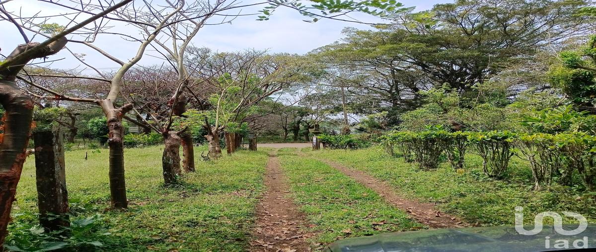 Foto de terreno habitacional en venta en loc de cuetzalapan , tebanca, catemaco, veracruz de ignacio de la llave, 28824032 No. 05