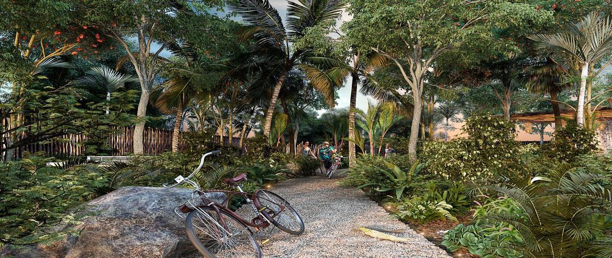 Foto de local en local comercial en venta meridaplaya sisalprivada gran nikteplaza flamingo2029. , sisal, hunucmá, yucatán, 0 foto 05 Foto de local en venta en local comercial en venta meridaplaya sisalprivada gran nikteplaza flamingo2029. , sisal, hunucmá, yucatán, 0 No. 05