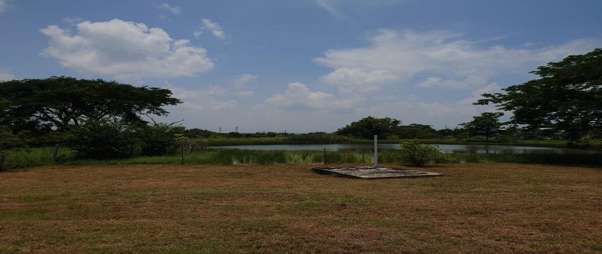 Foto de rancho en venta en loma alta , la puente, ozuluama de mascareñas, veracruz de ignacio de la llave, 0 No. 05