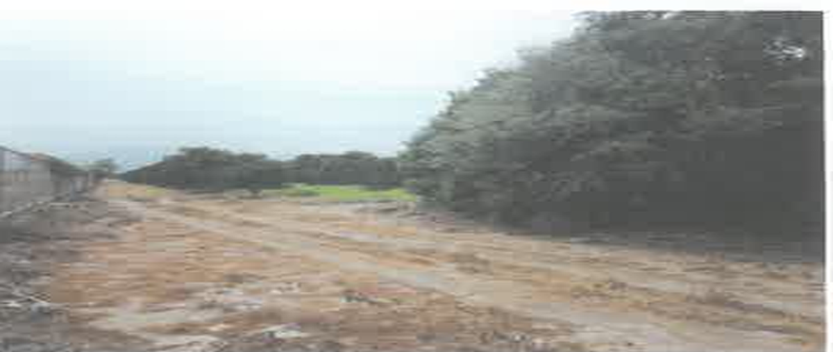 Foto de terreno habitacional en , loma alta, victoria, tamaulipas, 30168888 foto 04 Foto de terreno habitacional en venta en , loma alta, victoria, tamaulipas, 30168888 No. 04