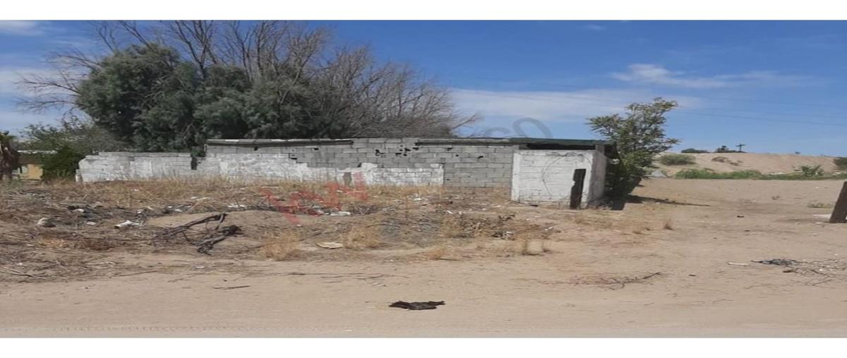 Foto de terreno habitacional en venta en  , loma blanca, juárez, chihuahua, 0 No. 05