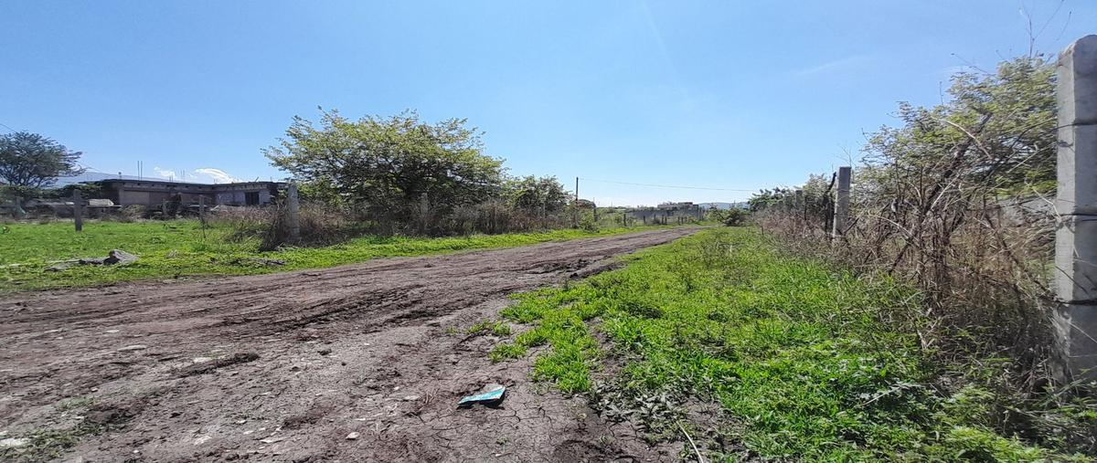 Foto de terreno habitacional en venta en  , loma bonita, cuernavaca, morelos, 0 No. 03