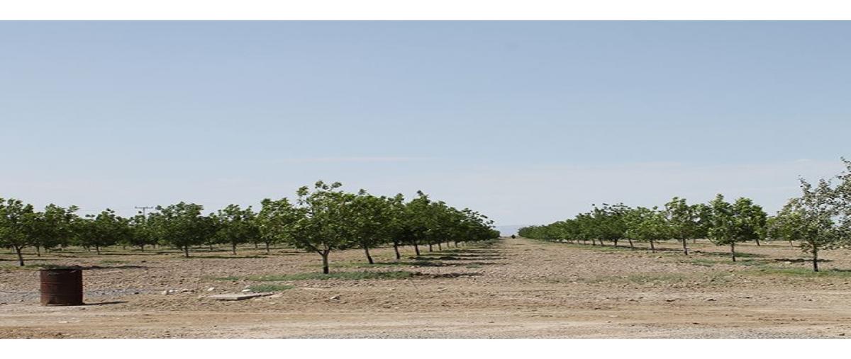 Foto de terreno habitacional en venta en  , loma bonita, parras, coahuila de zaragoza, 0 No. 03