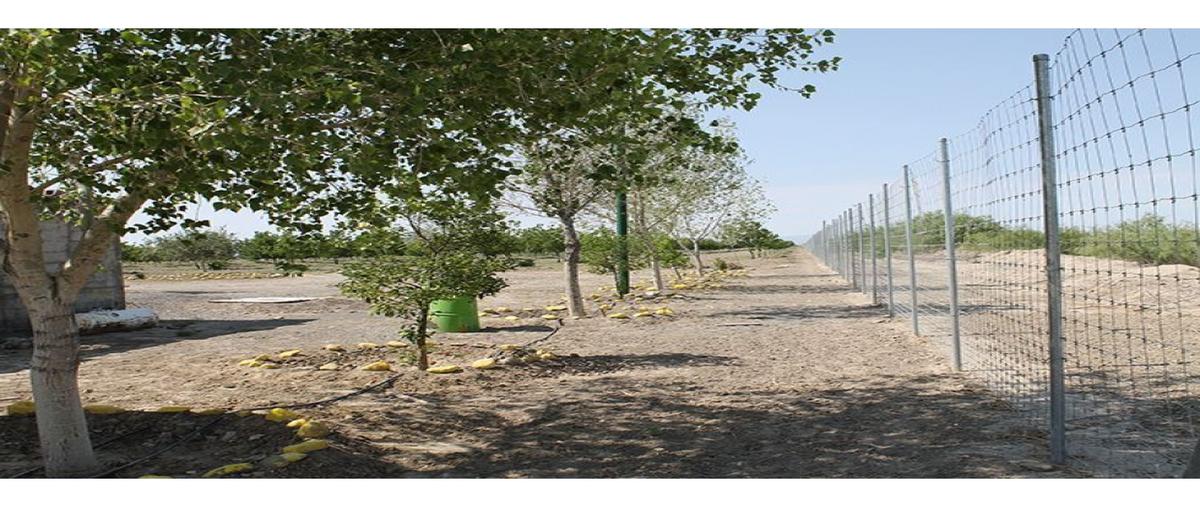 Foto de terreno habitacional en venta en  , loma bonita, parras, coahuila de zaragoza, 0 No. 04