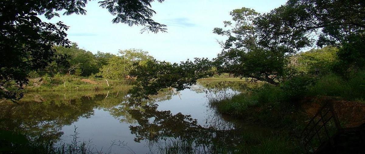 Foto de rancho en venta en  , loma bonita, tuxtla gutiérrez, chiapas, 14121236 No. 03