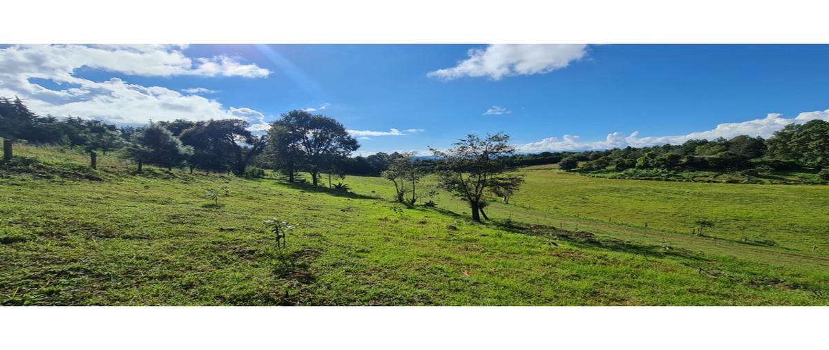Foto de terreno habitacional en venta en  , loma bonita, valle de bravo, méxico, 22842023 No. 03