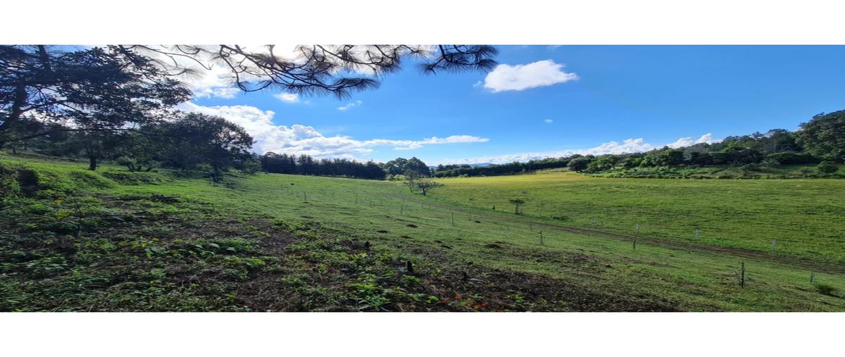 Foto de terreno habitacional en venta en  , loma bonita, valle de bravo, méxico, 22842023 No. 04