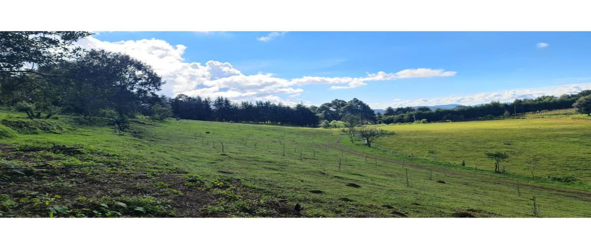 Foto de terreno habitacional en venta en  , loma bonita, valle de bravo, méxico, 22842023 No. 05