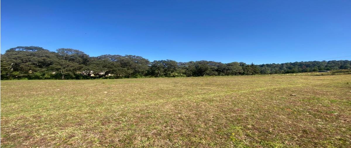 Foto de terreno habitacional en venta en  , loma bonita, valle de bravo, méxico, 23128590 No. 03