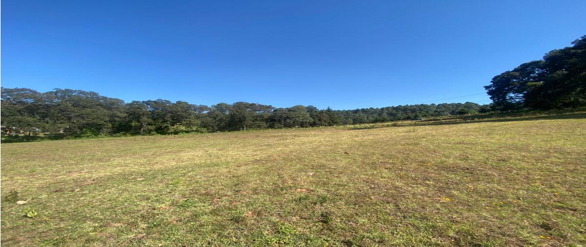 Foto de terreno habitacional en venta en  , loma bonita, valle de bravo, méxico, 23128590 No. 04