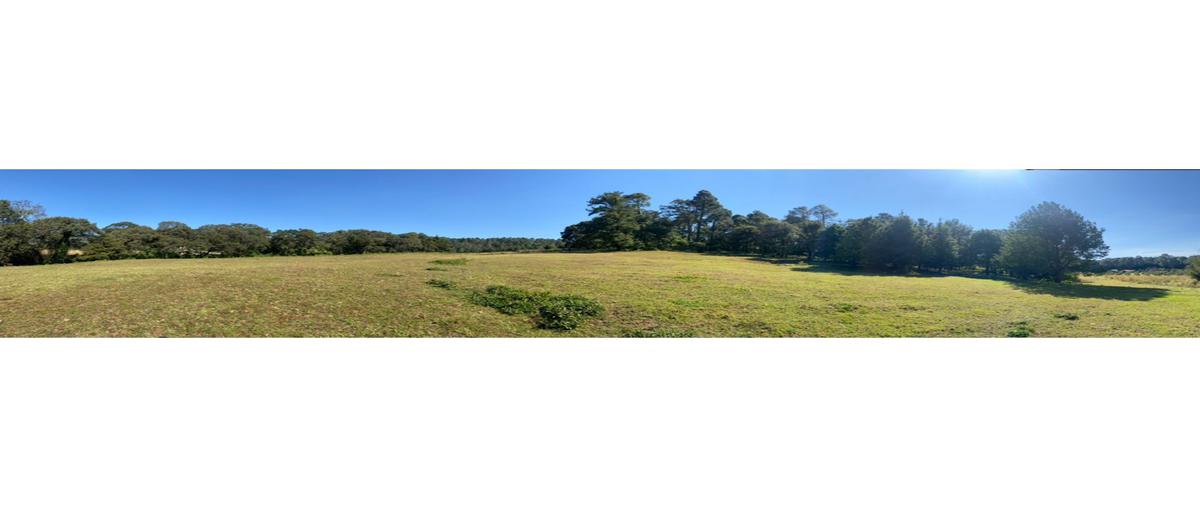 Foto de terreno habitacional en venta en  , loma bonita, valle de bravo, méxico, 23128590 No. 05