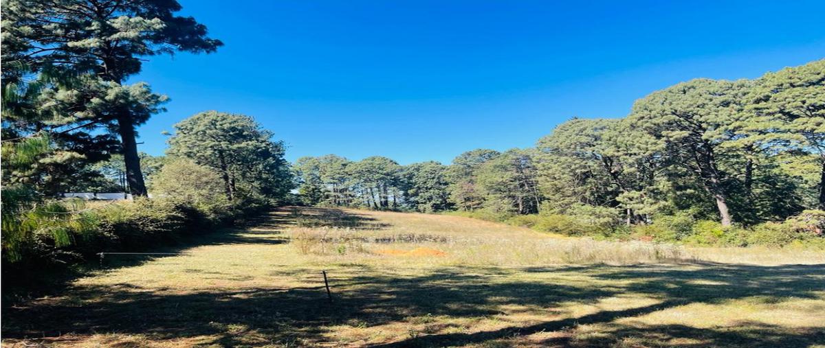 Foto de terreno habitacional en venta en  , loma bonita, valle de bravo, méxico, 23961393 No. 03