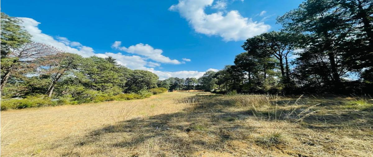 Foto de terreno habitacional en venta en  , loma bonita, valle de bravo, méxico, 23961393 No. 04