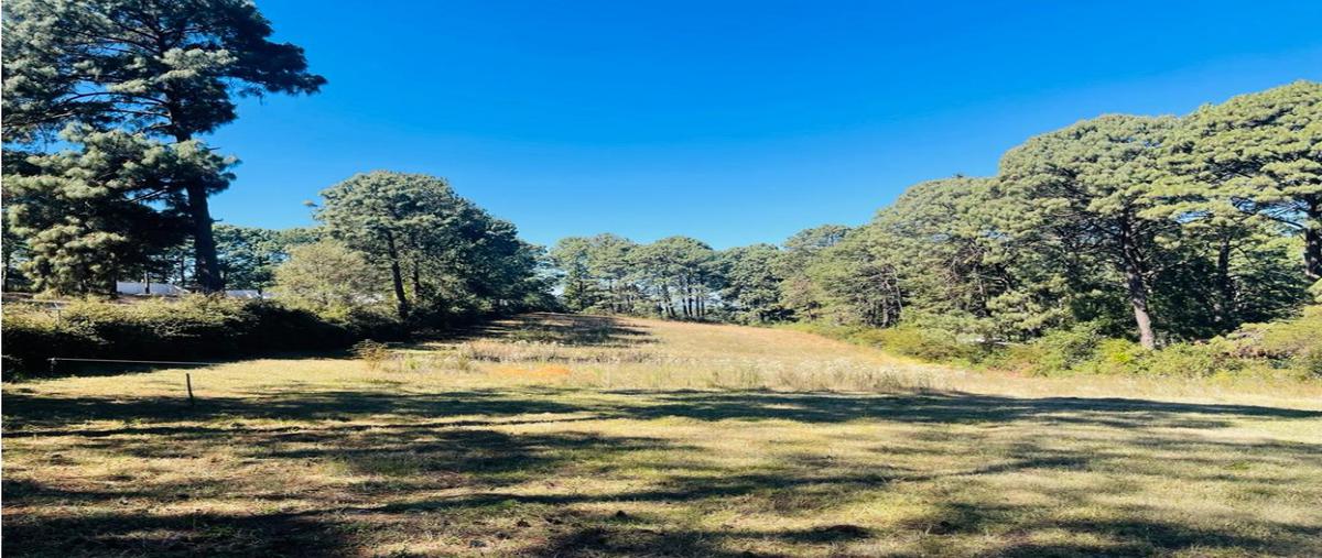 Foto de terreno habitacional en venta en  , loma bonita, valle de bravo, méxico, 23961393 No. 05