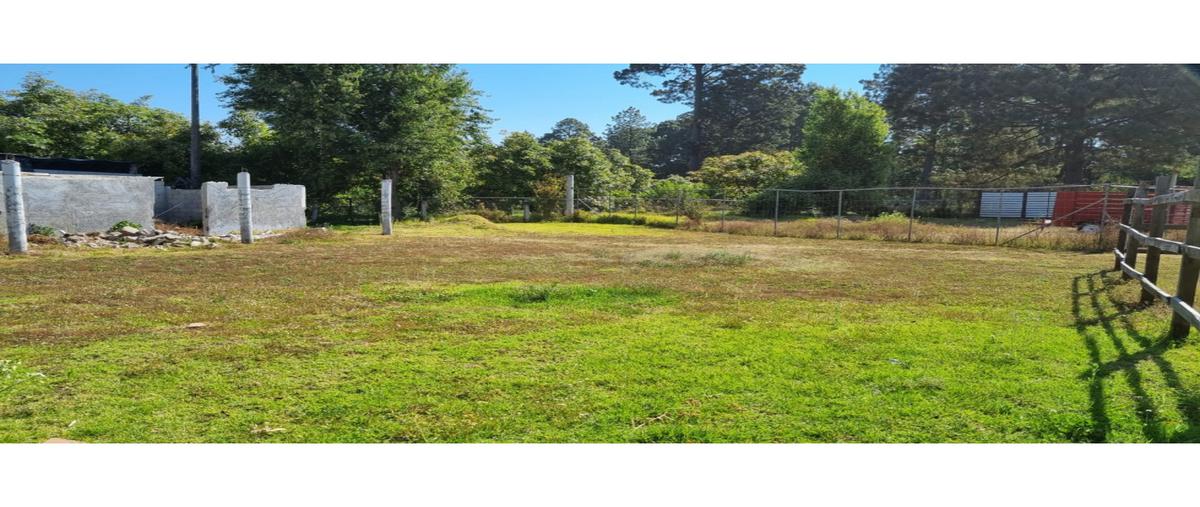 Foto de terreno habitacional en venta en  , loma bonita, valle de bravo, méxico, 24241644 No. 03