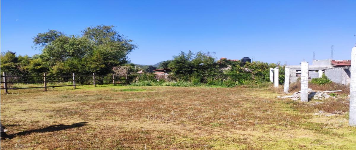 Foto de terreno habitacional en venta en  , loma bonita, valle de bravo, méxico, 24241644 No. 05