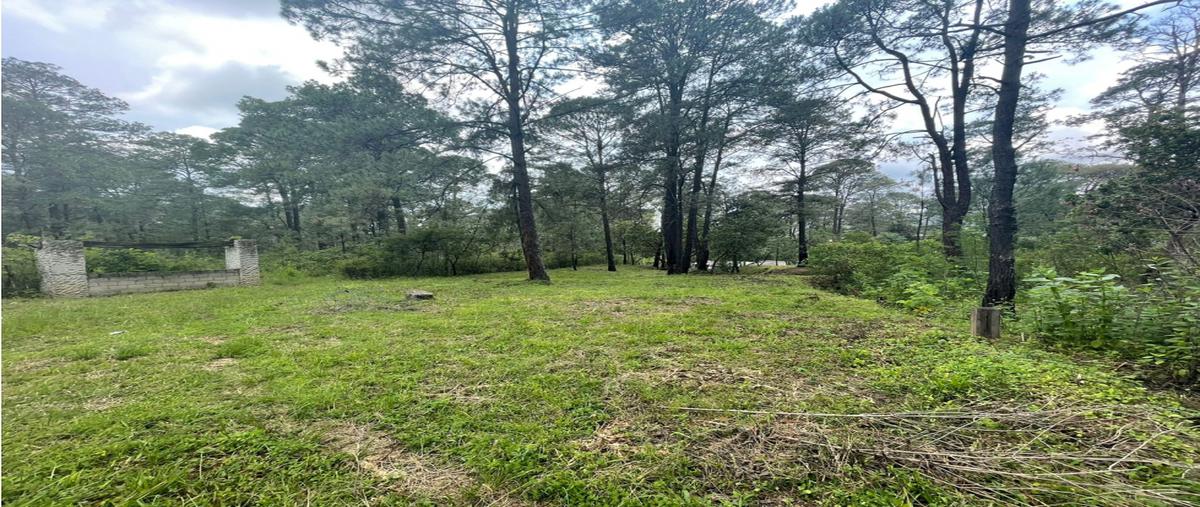 Foto de terreno habitacional en venta en  , loma bonita, valle de bravo, méxico, 24717316 No. 03
