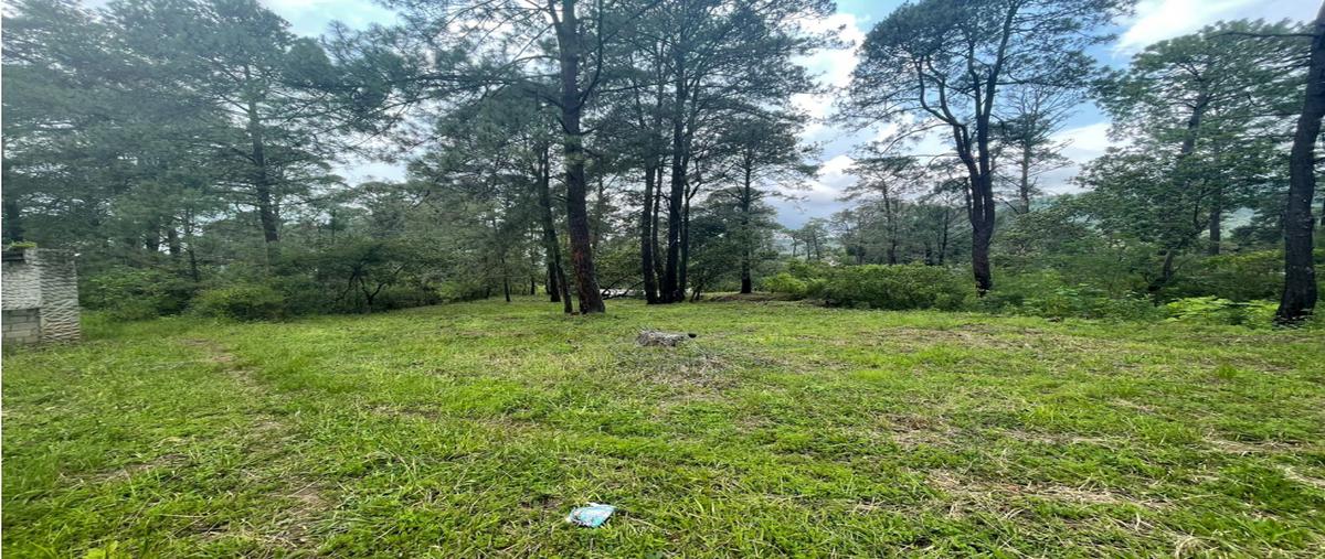 Foto de terreno habitacional en venta en  , loma bonita, valle de bravo, méxico, 24717316 No. 04