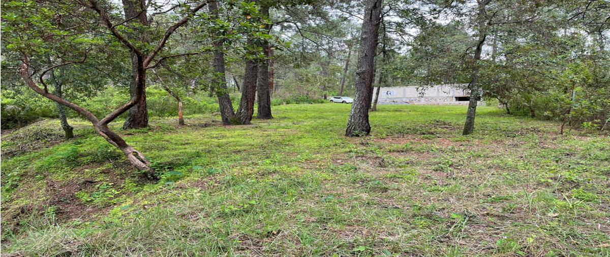Foto de terreno habitacional en venta en  , loma bonita, valle de bravo, méxico, 24717316 No. 05