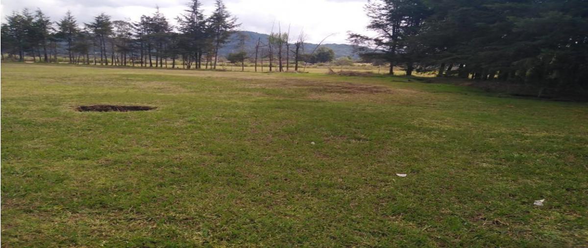 Foto de terreno habitacional en venta en  , loma bonita, valle de bravo, méxico, 25523664 No. 03