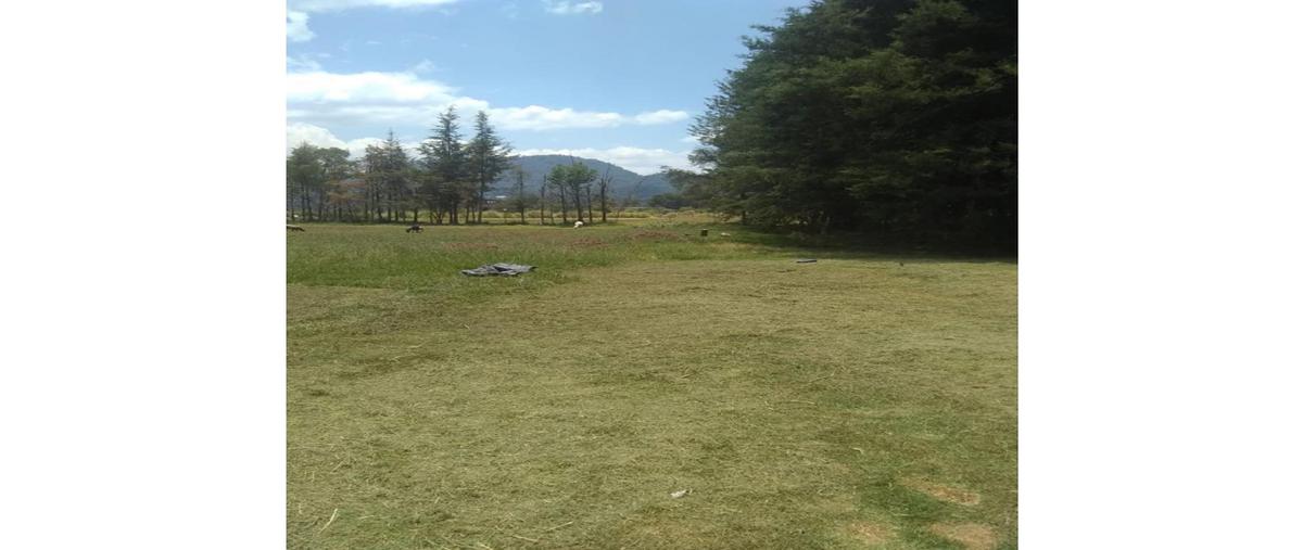 Foto de terreno habitacional en venta en  , loma bonita, valle de bravo, méxico, 25523664 No. 05