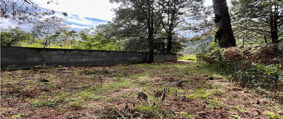 Foto de terreno habitacional en venta en  , loma bonita, valle de bravo, méxico, 25627192 No. 03