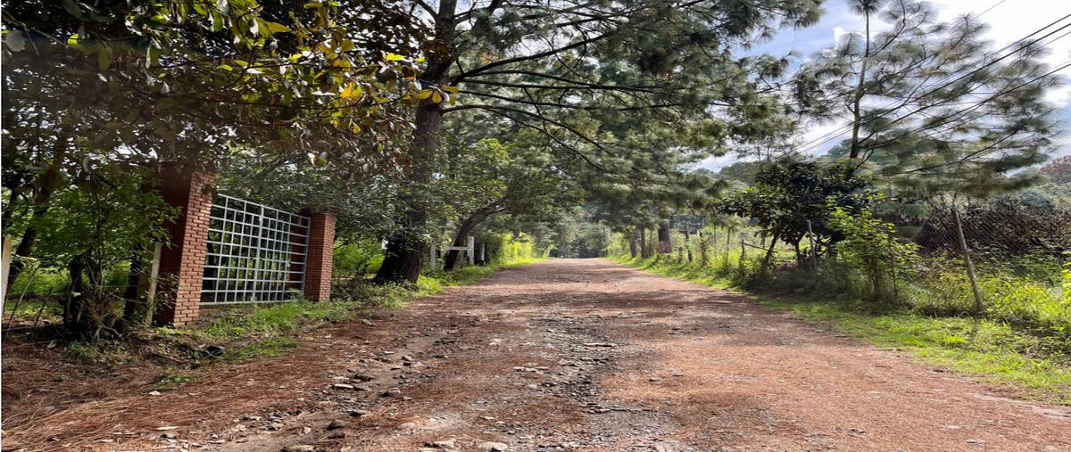 Foto de terreno habitacional en venta en  , loma bonita, valle de bravo, méxico, 25627192 No. 04
