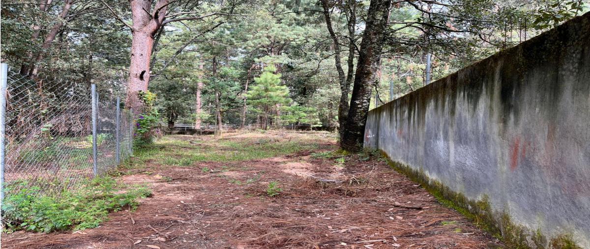 Foto de terreno habitacional en venta en  , loma bonita, valle de bravo, méxico, 25627192 No. 05