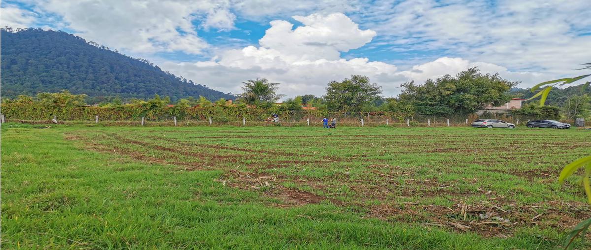 Foto de terreno habitacional en venta en  , loma bonita, valle de bravo, méxico, 25675720 No. 04
