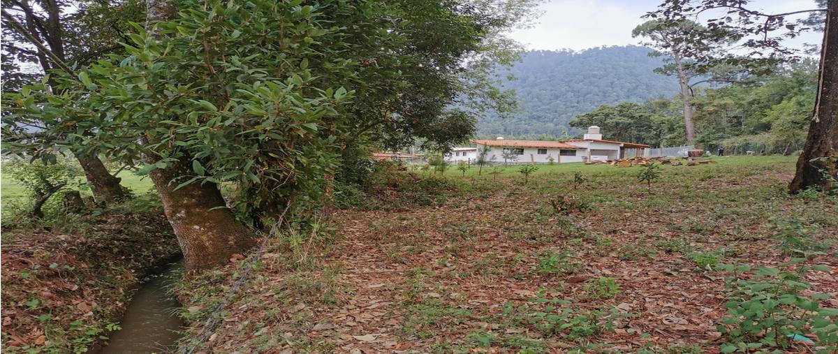 Foto de terreno habitacional en venta en  , loma bonita, valle de bravo, méxico, 25675722 No. 03