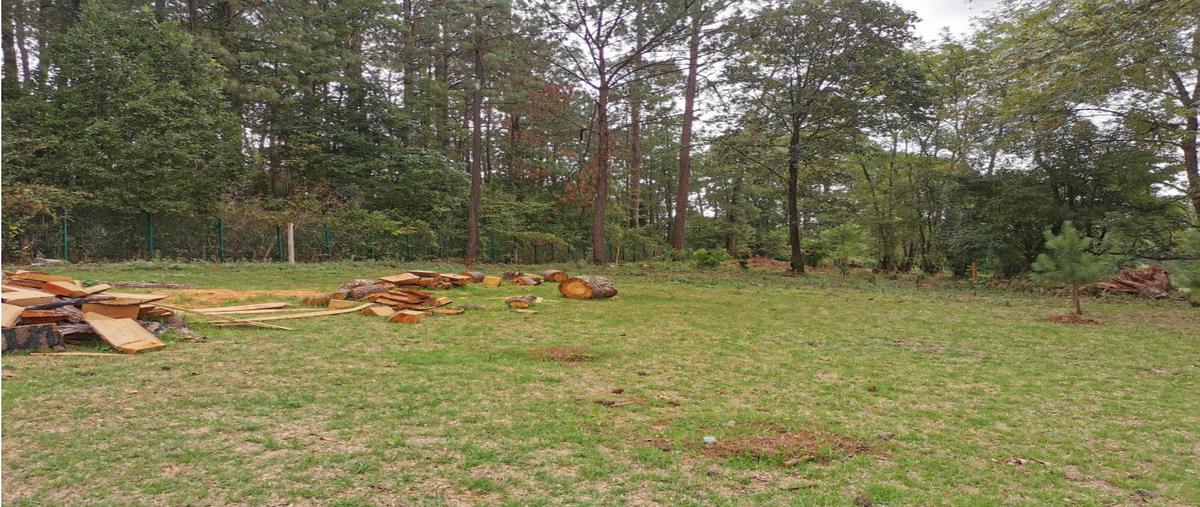 Foto de terreno habitacional en venta en  , loma bonita, valle de bravo, méxico, 25675722 No. 04