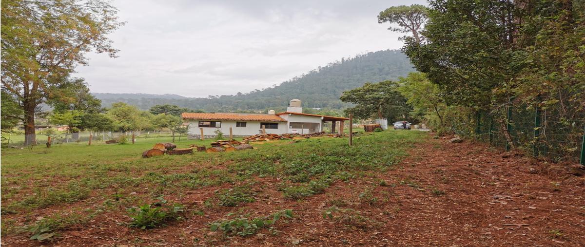 Foto de terreno habitacional en venta en  , loma bonita, valle de bravo, méxico, 25675722 No. 05