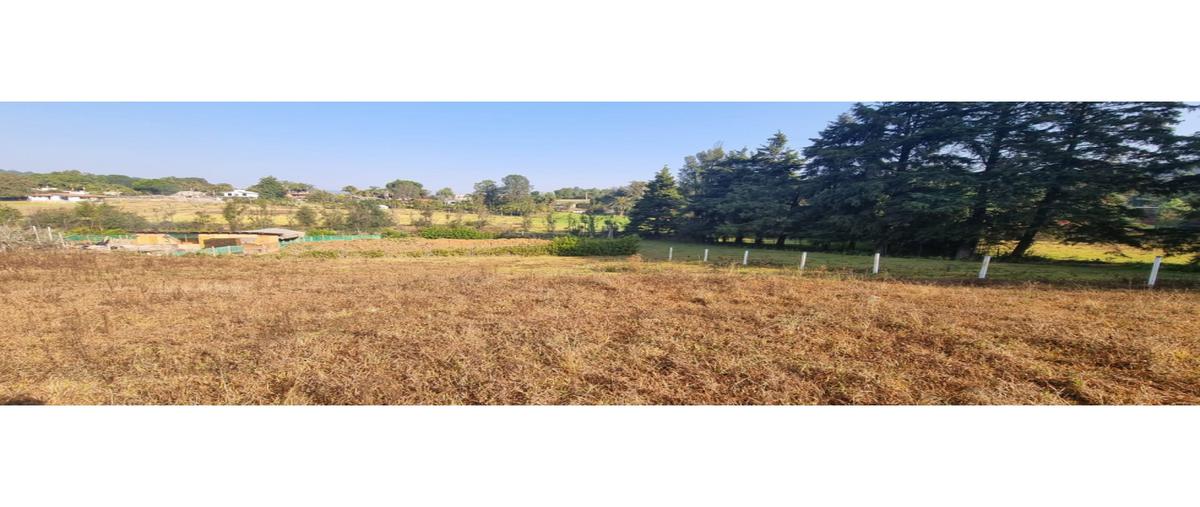 Foto de terreno habitacional en venta en  , loma bonita, valle de bravo, méxico, 25945865 No. 03