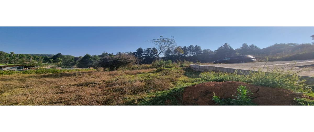 Foto de terreno habitacional en venta en  , loma bonita, valle de bravo, méxico, 25945865 No. 04