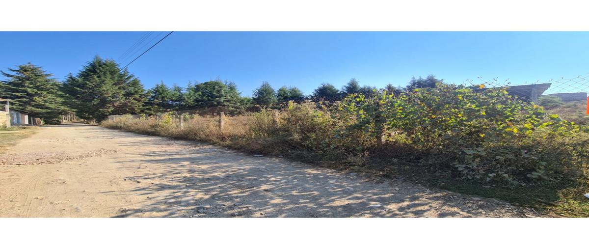 Foto de terreno habitacional en renta en  , loma bonita, valle de bravo, méxico, 26007881 No. 04