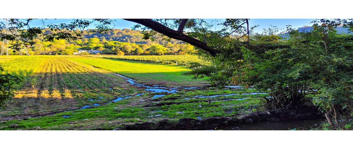 Foto de terreno habitacional en venta en  , loma bonita, valle de bravo, méxico, 26038630 No. 03