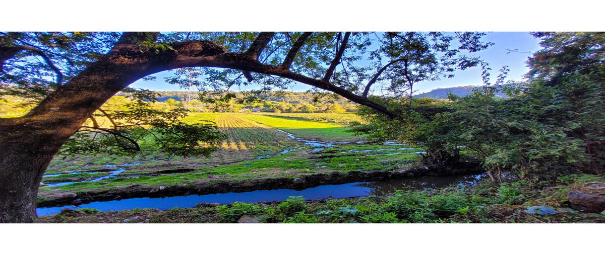 Foto de terreno habitacional en venta en  , loma bonita, valle de bravo, méxico, 26038630 No. 04