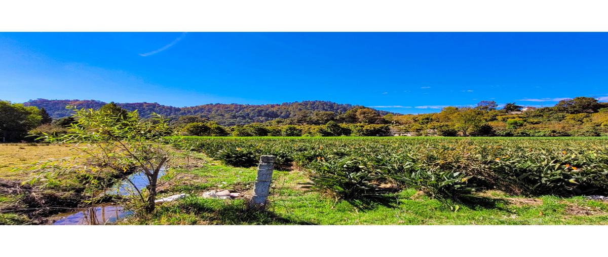 Foto de terreno habitacional en venta en  , loma bonita, valle de bravo, méxico, 26038630 No. 05