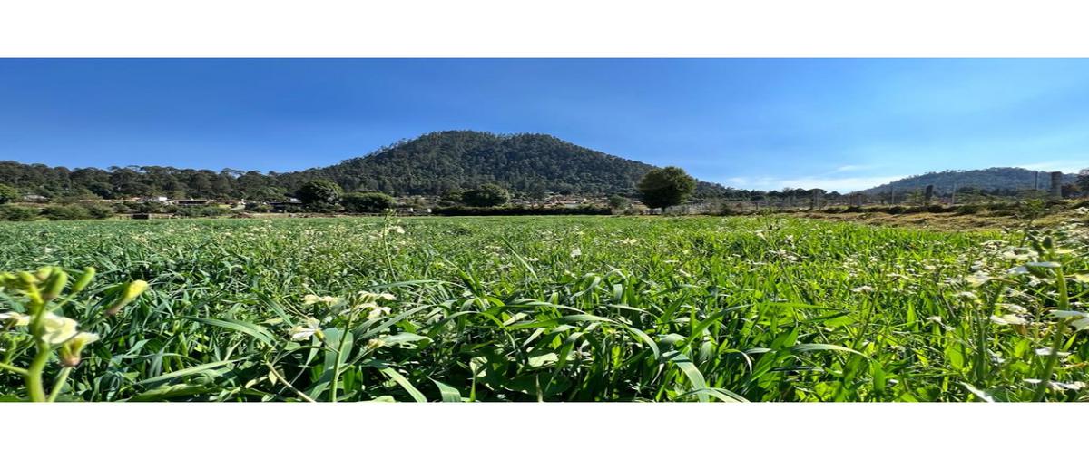 Foto de terreno habitacional en venta en  , loma bonita, valle de bravo, méxico, 0 No. 03