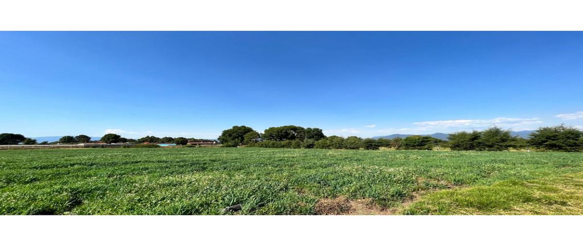 Foto de terreno habitacional en venta en  , loma bonita, valle de bravo, méxico, 0 No. 04