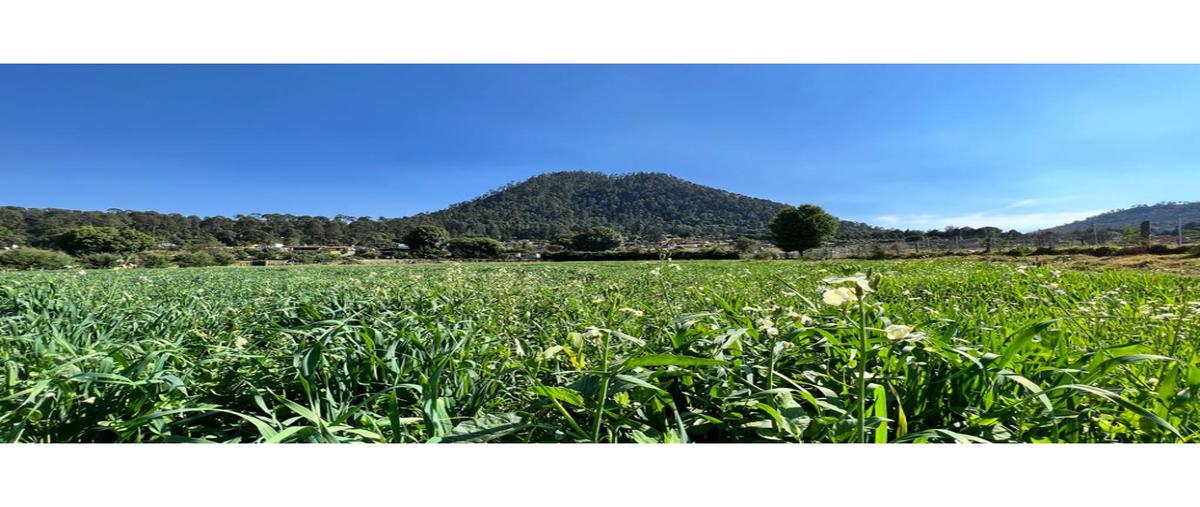 Foto de terreno habitacional en venta en  , loma bonita, valle de bravo, méxico, 0 No. 05
